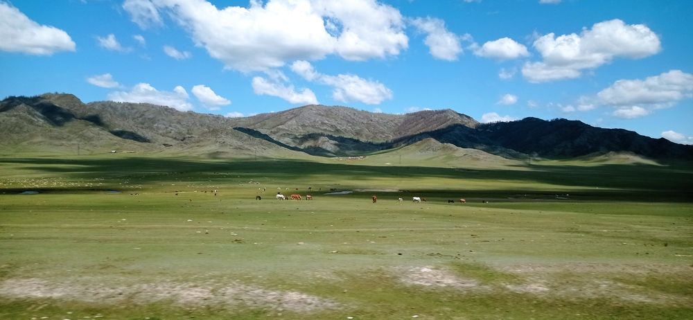 Photograph by Лариса Неудачина