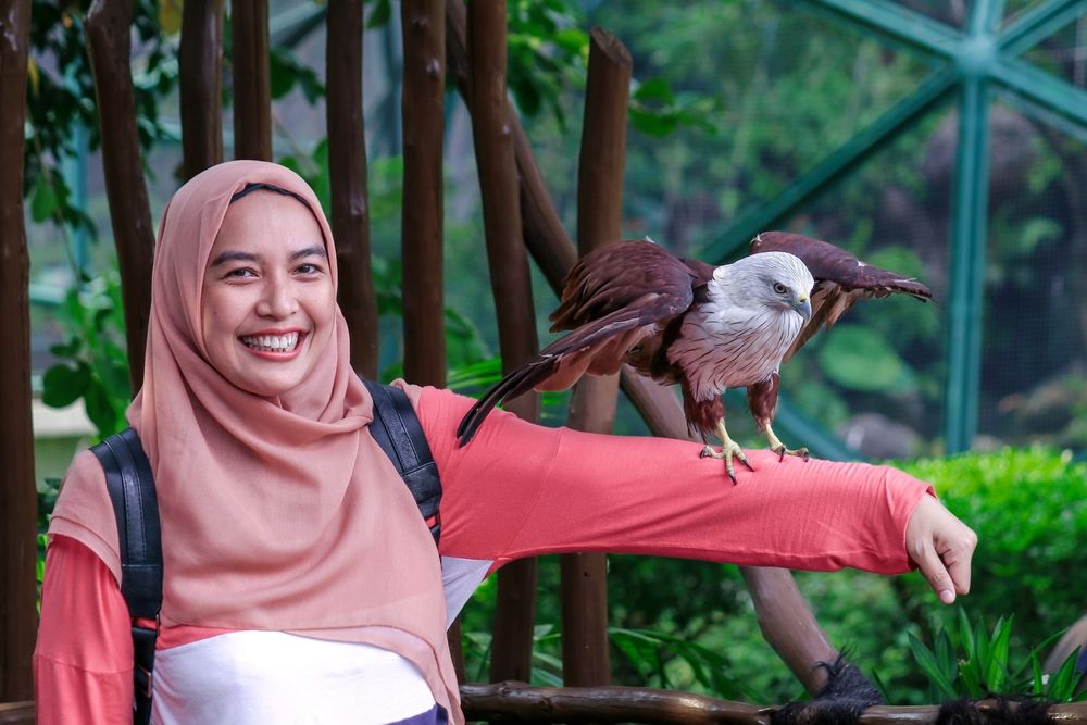 Фотография автора Edi Hidayat