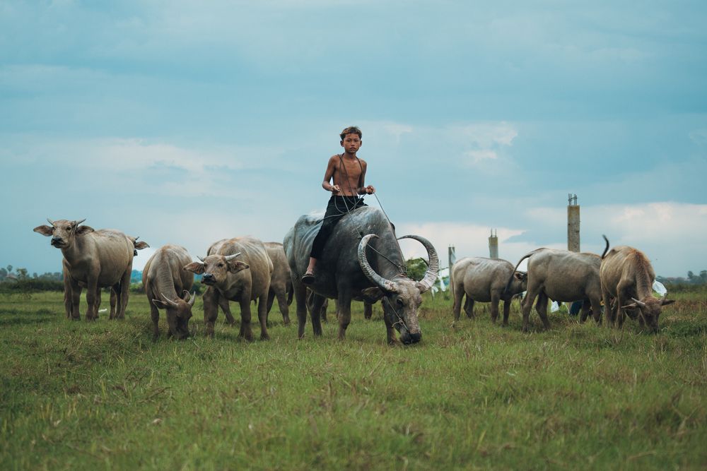 Photograph by SOKLIN SEK