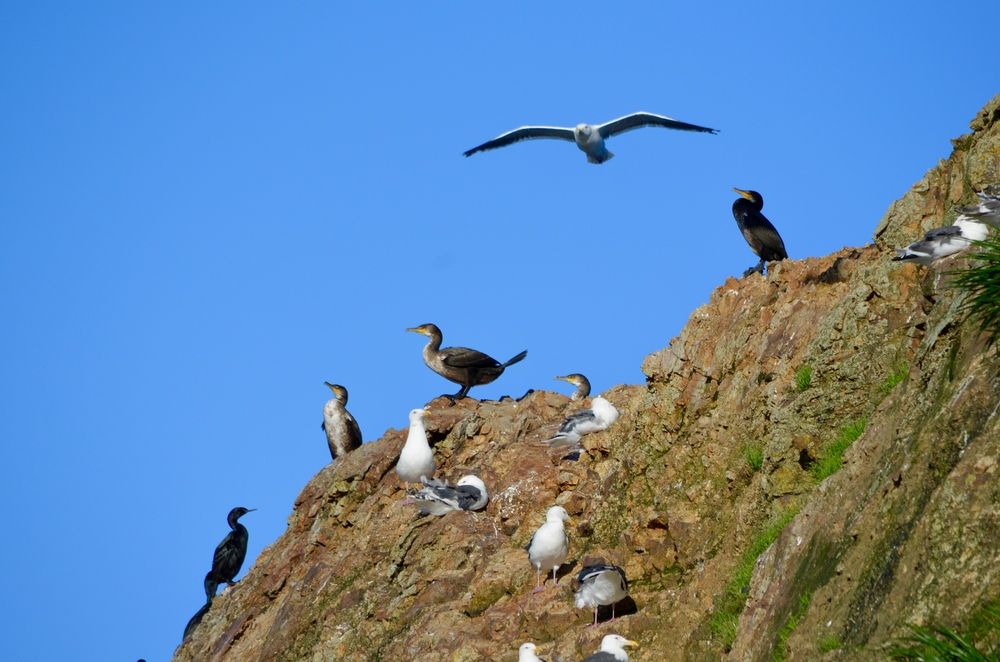 Photograph by Дина Чехова