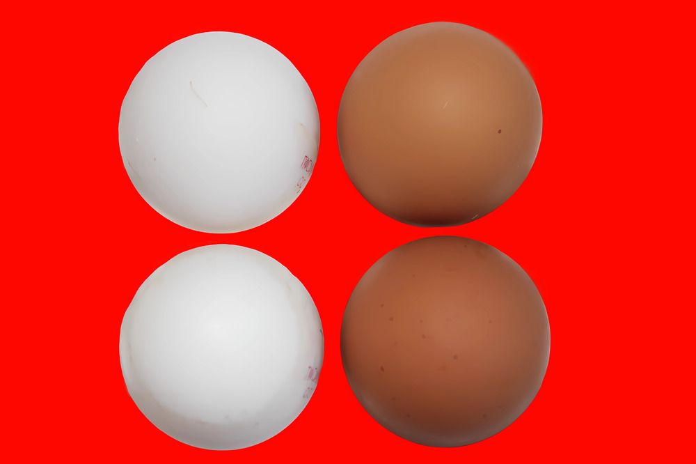 Photograph by Ольга Нистеренко