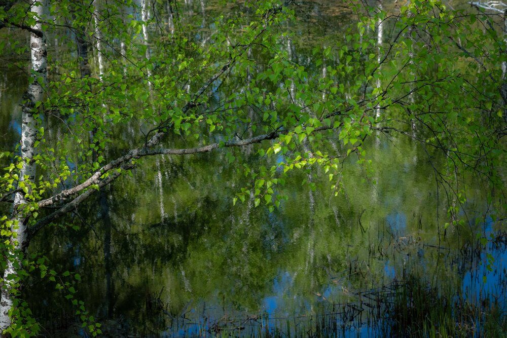 Photograph by Власов Андрей