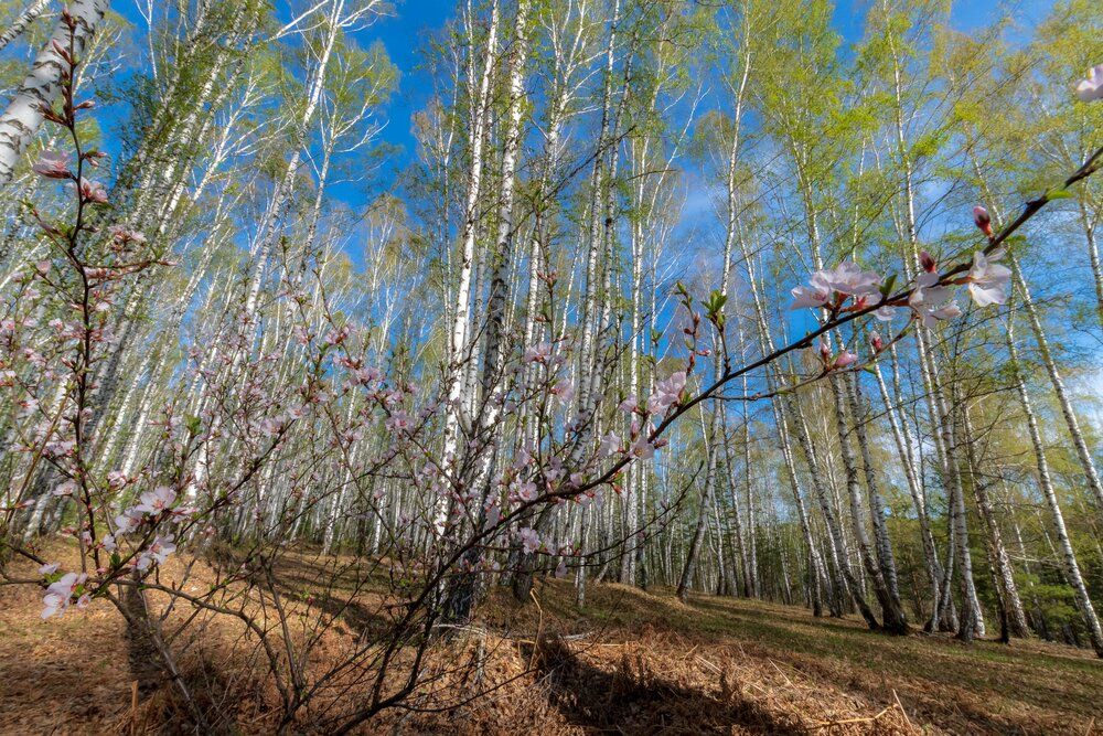 Photograph by Власов Андрей