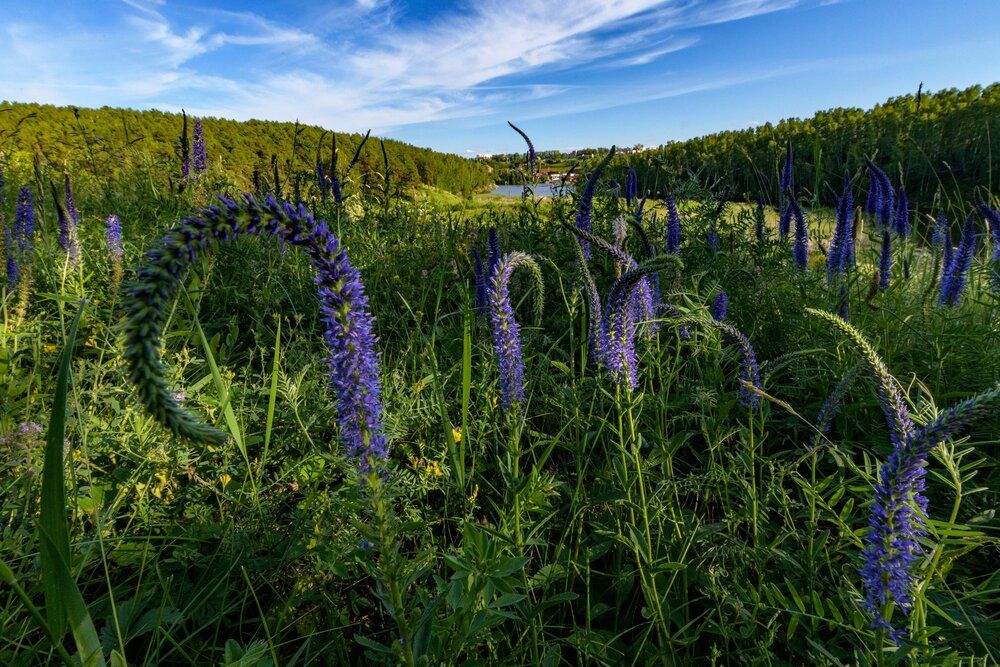 Photograph by Власов Андрей