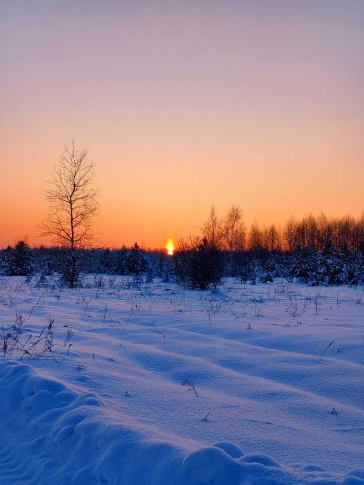 Photo #13169499