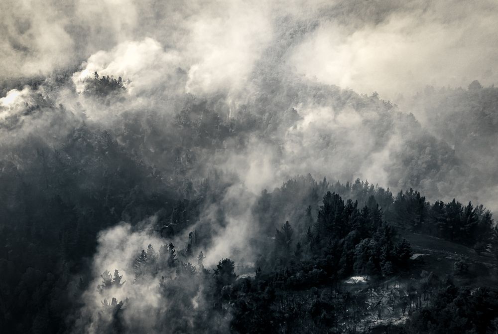 Veil of Ash