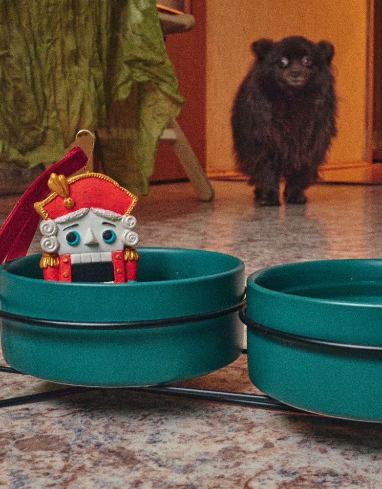 Photograph by Евгений Баранов