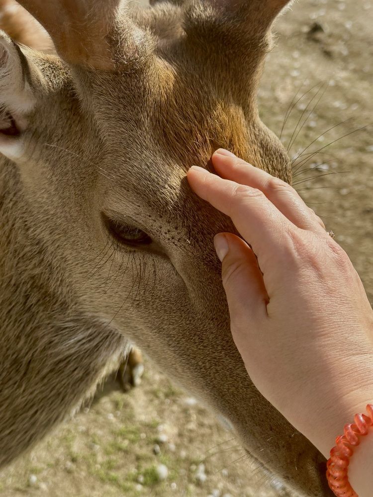 Photograph by Дина Чехова