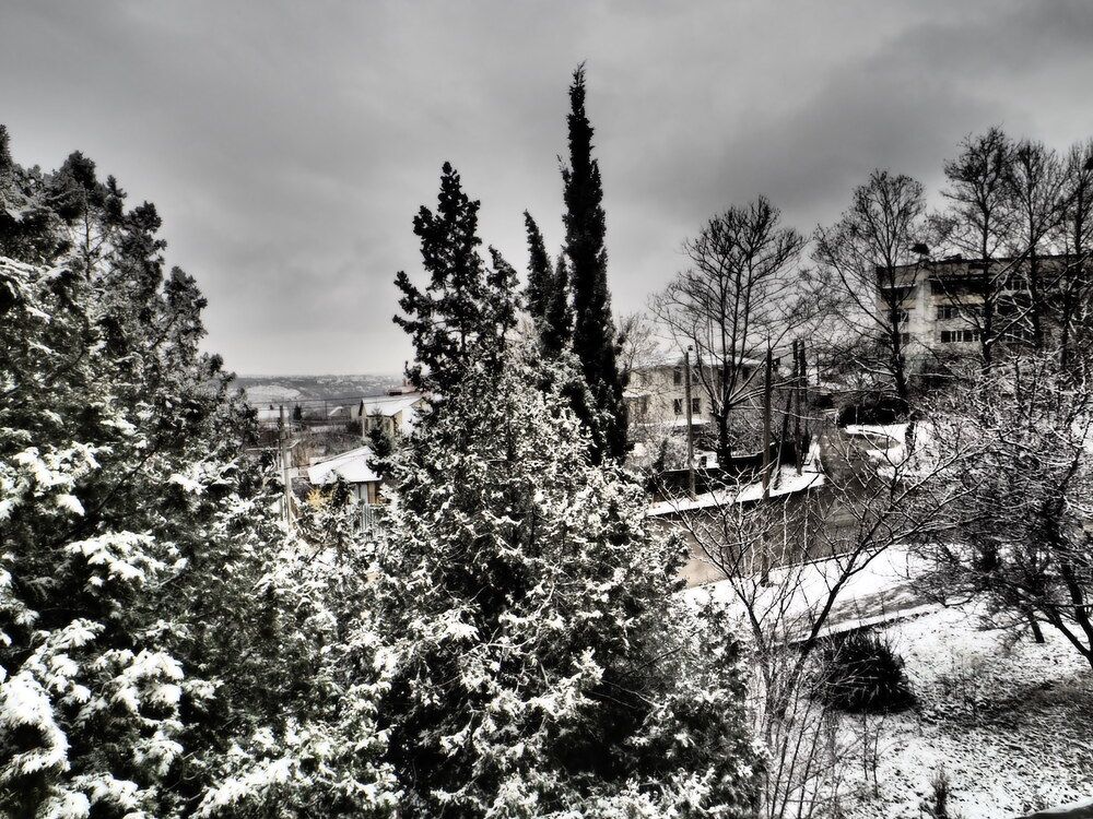 Photograph by Сергей Борисов