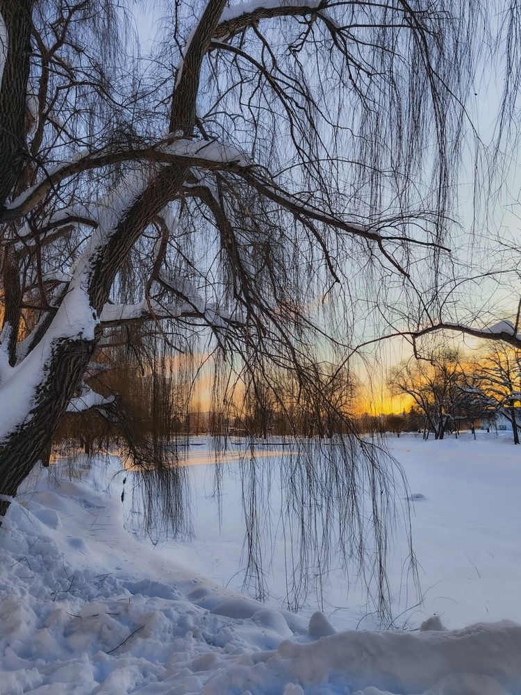 Фотография автора Олеся Хижко