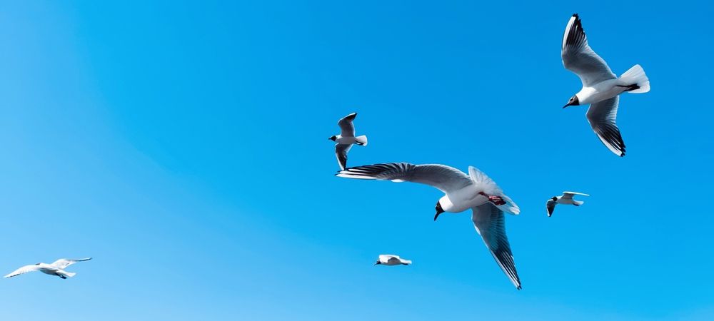 Photograph by Рыков Андрей