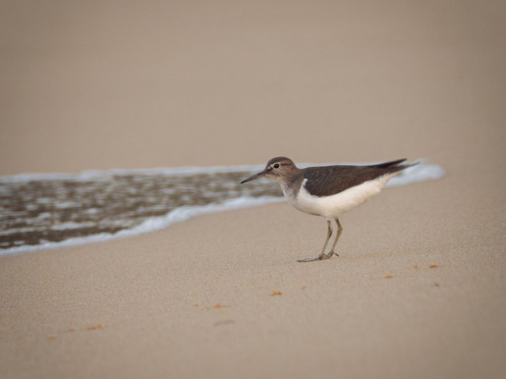 Photograph by Jaroslav Vyhnicka