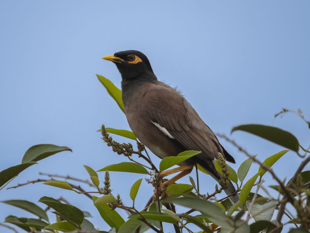 Photograph by Jaroslav Vyhnicka