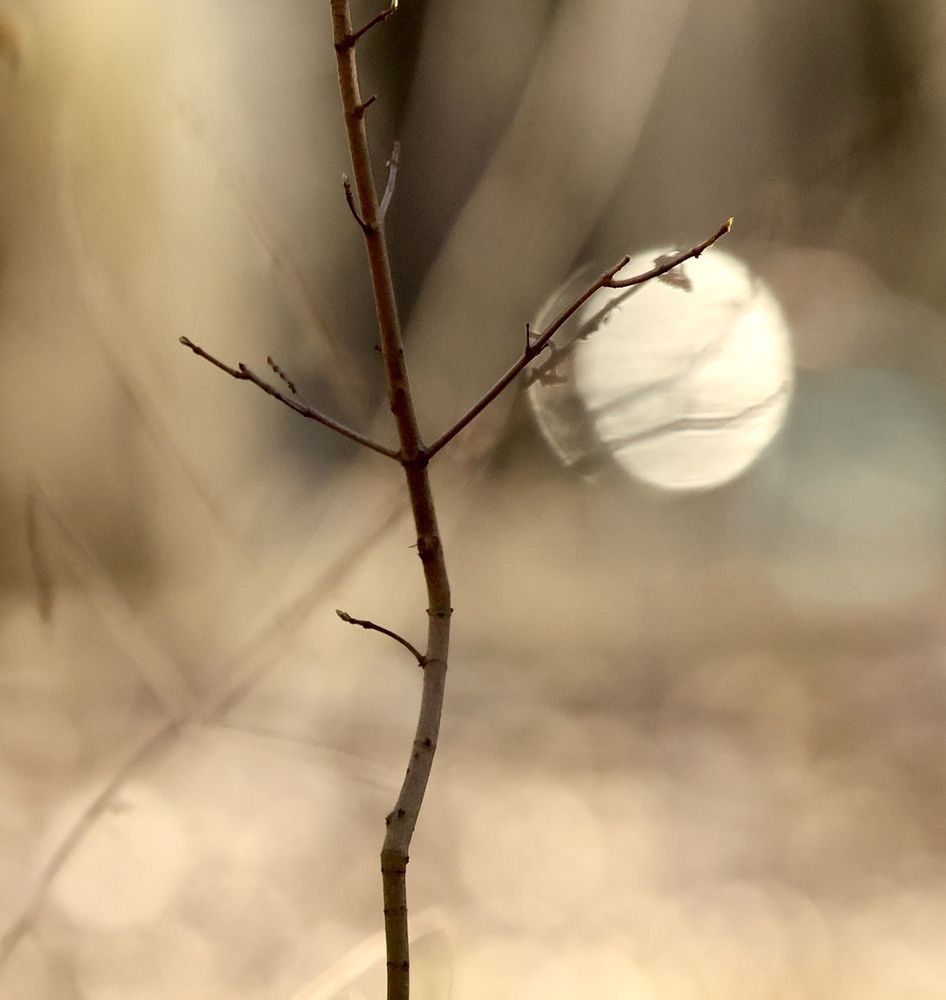 Фотография автора Голубков Леонид