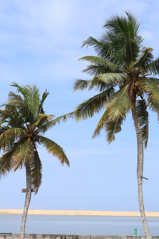 Photograph by DH33RAJ RAJ3SH