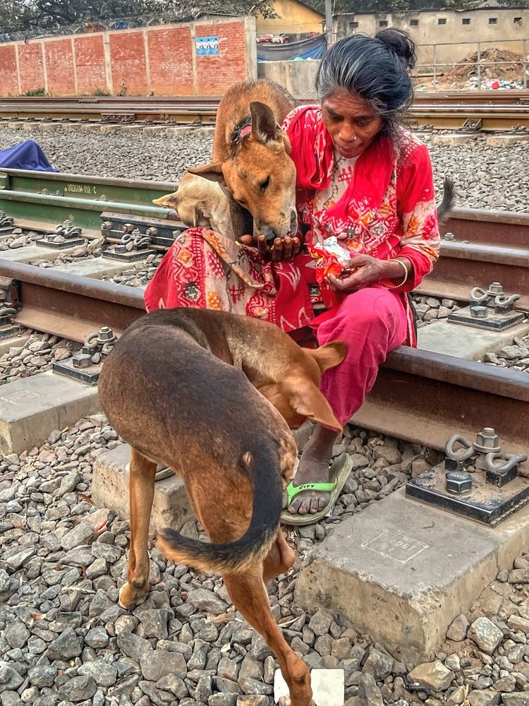 Photograph by Washiful Majid