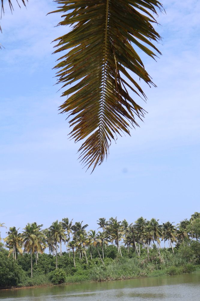 Photograph by DH33RAJ RAJ3SH