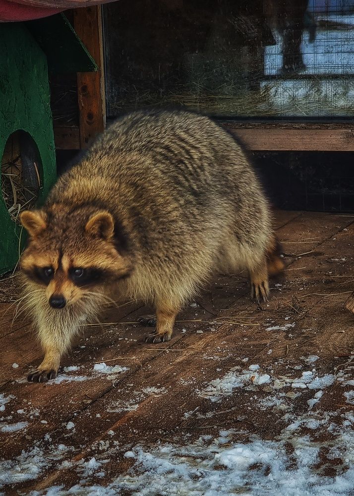 Photograph by Алена Самошина