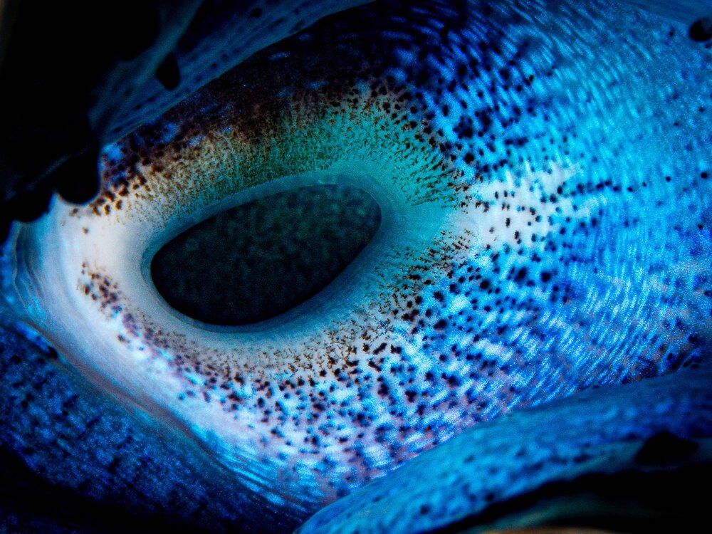 Photograph by Plakida Alexander