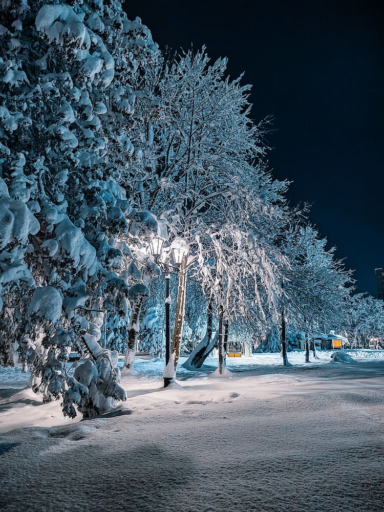 Фотография автора Наталья Королева