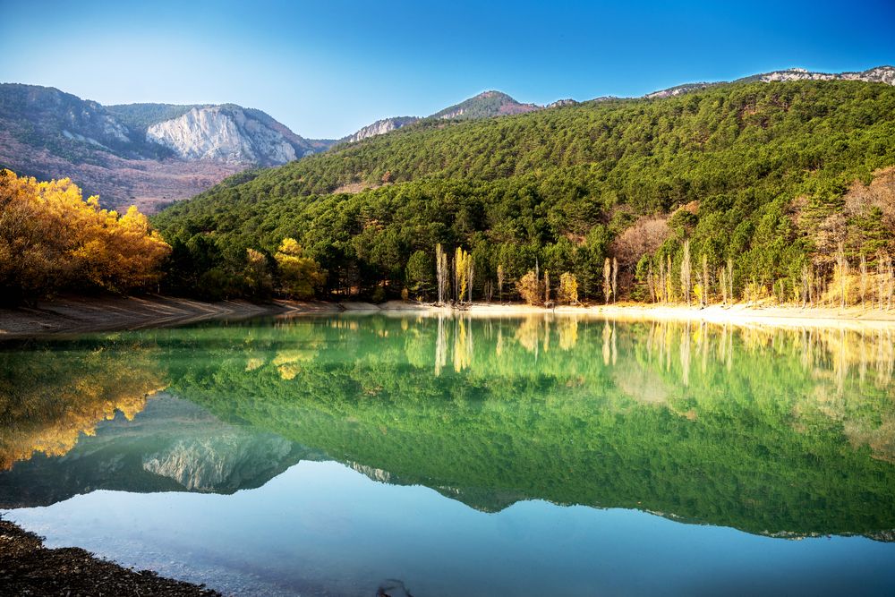 Photograph by Olga Savkina