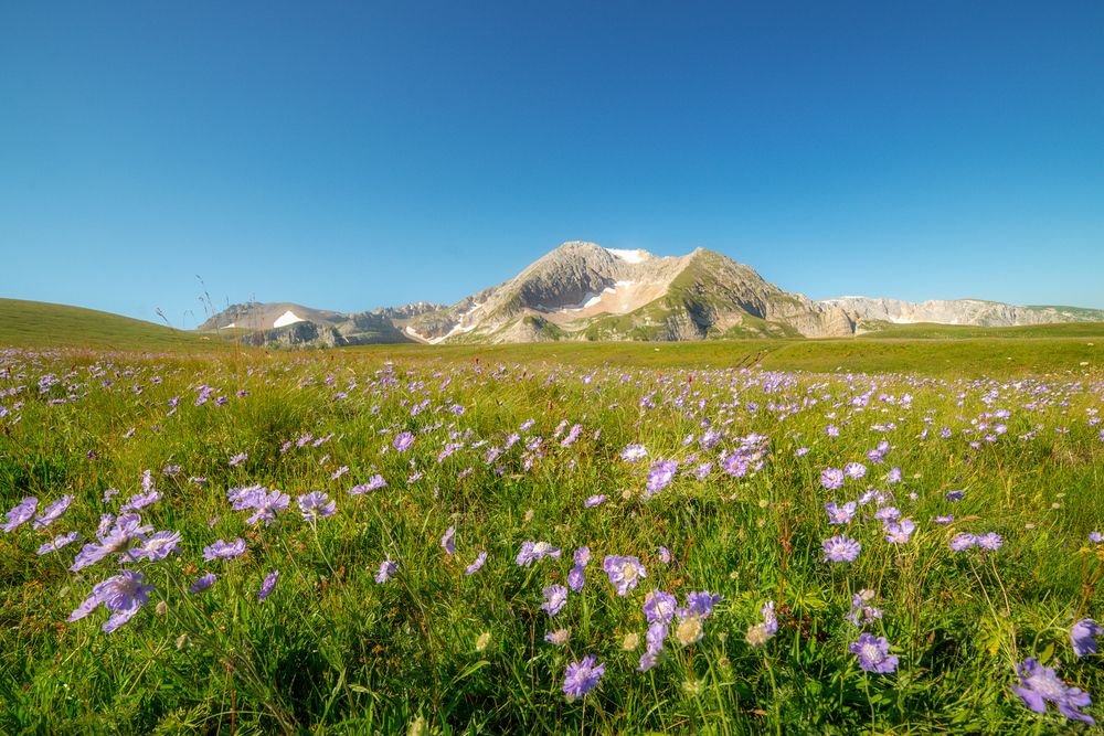 Photograph by Сергей Тихомиров