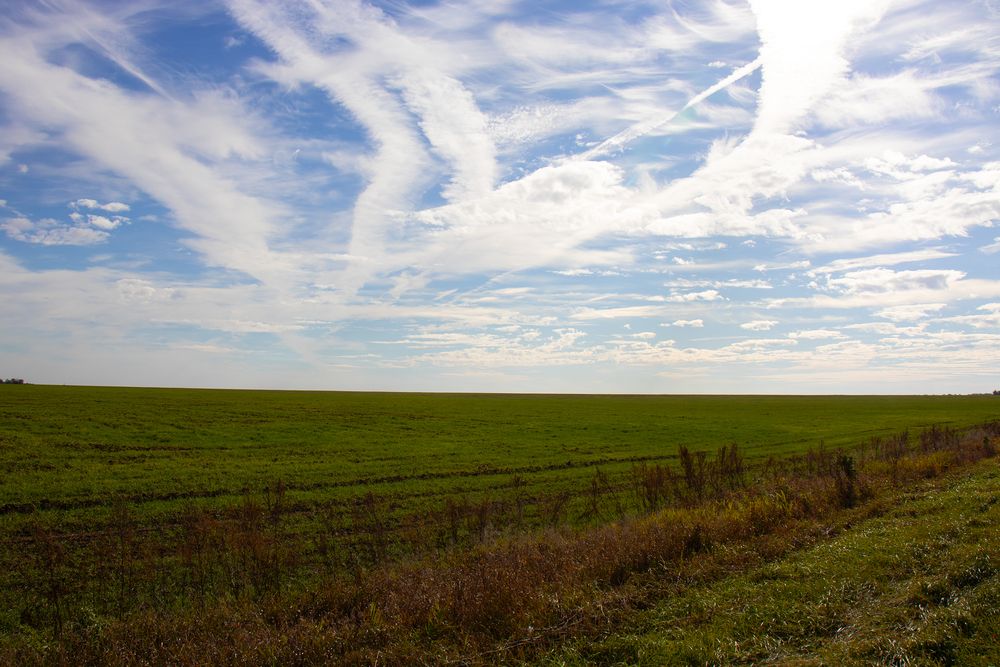 Photograph by Инна Воробьева