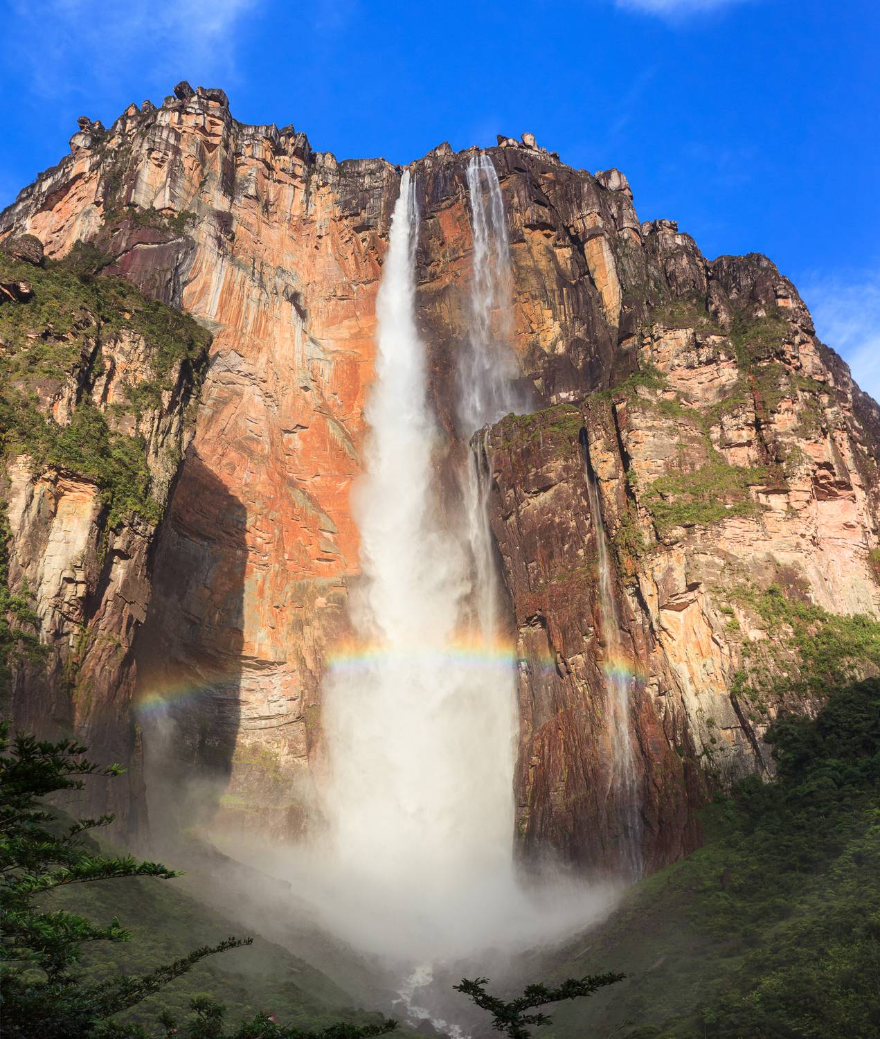 Фотография #13169734