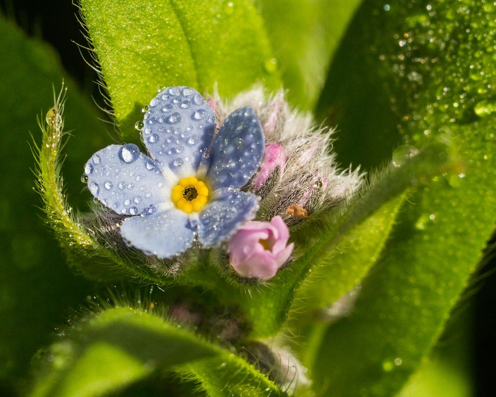 Фотография автора Борис Журавлёв