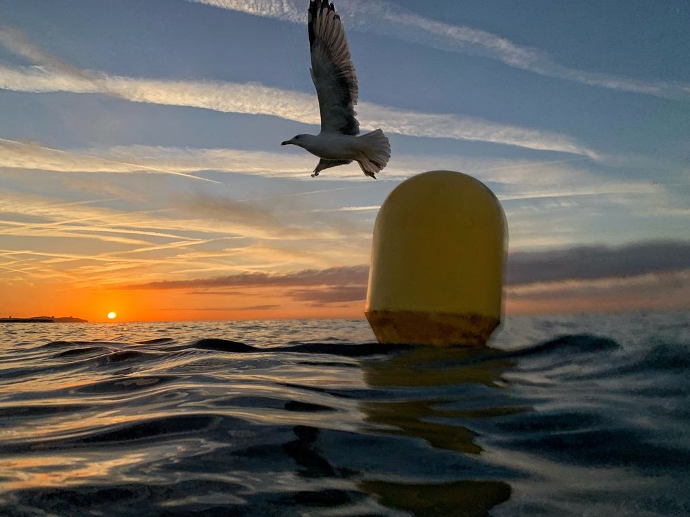 Photograph by Rosa Maria Vilella Sabaté