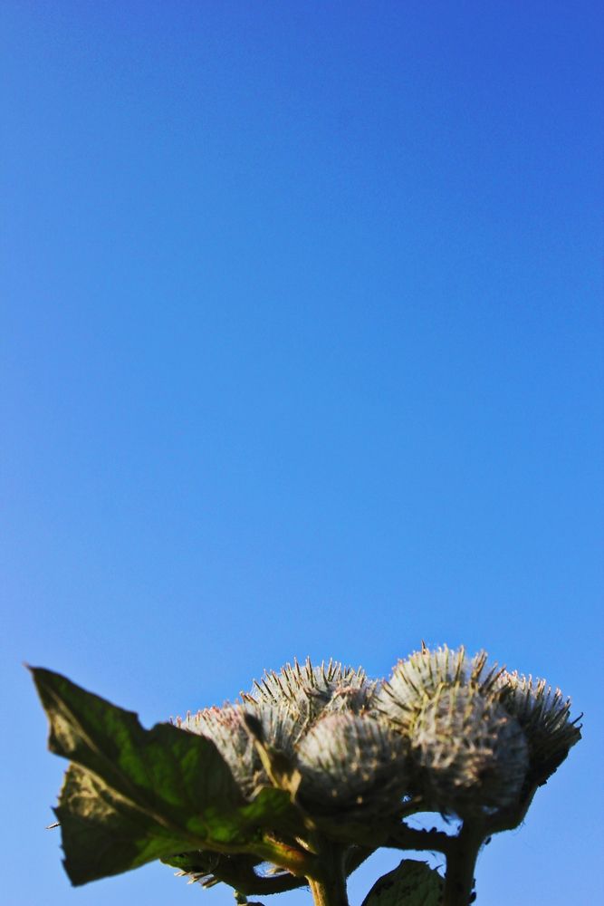 Photograph by Дарья Чертенкова