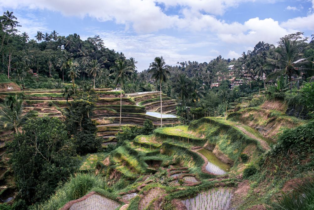 Photograph by Альфия Агзами