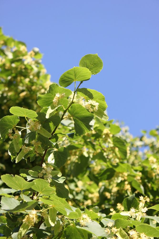 Photograph by Дарья Чертенкова