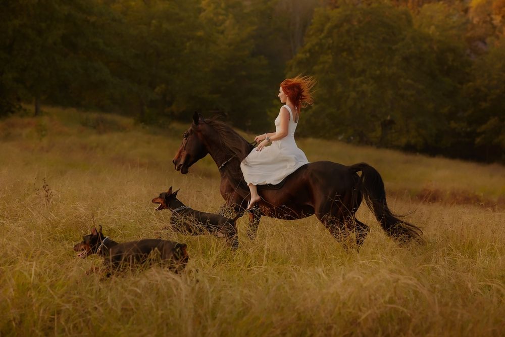 Photograph by Елена Звягина