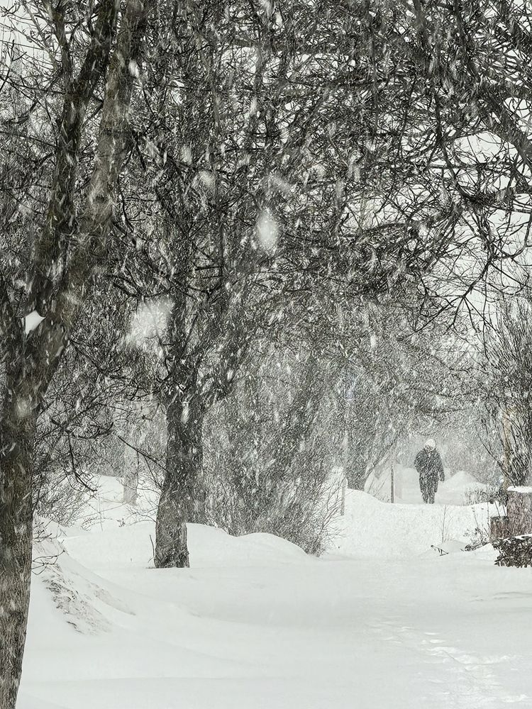 Photograph by Татьяна Винокурова