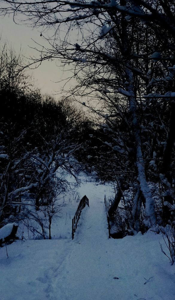 Photograph by Ия Энгельгардт (Левина)