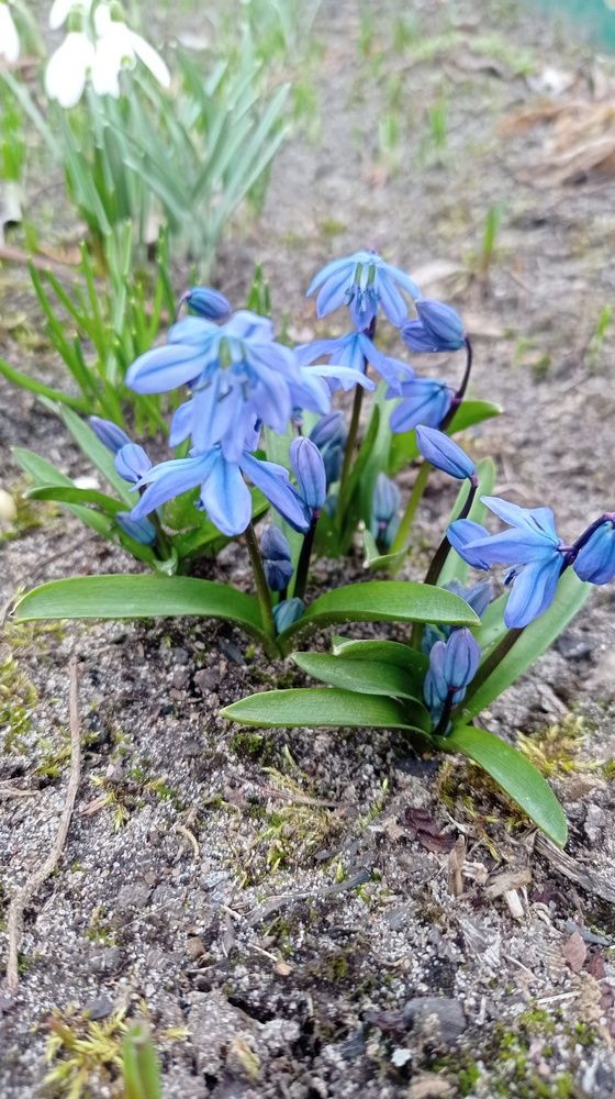 Фотография автора Костя