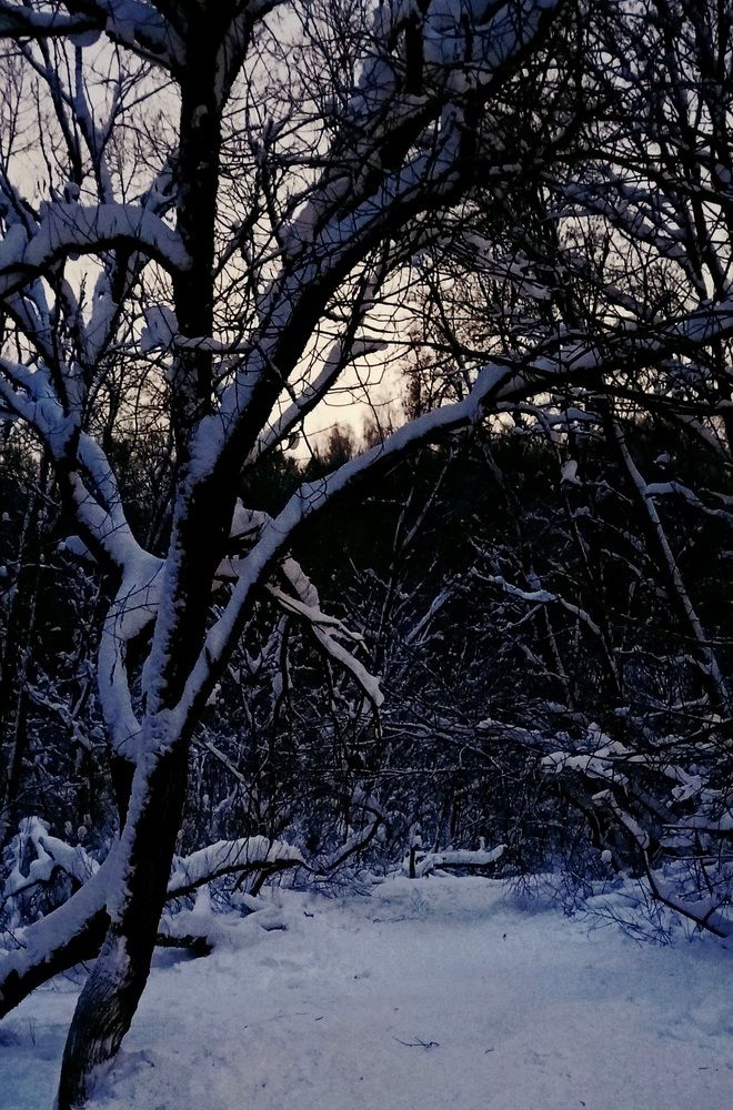 Photograph by Ия Энгельгардт (Левина)