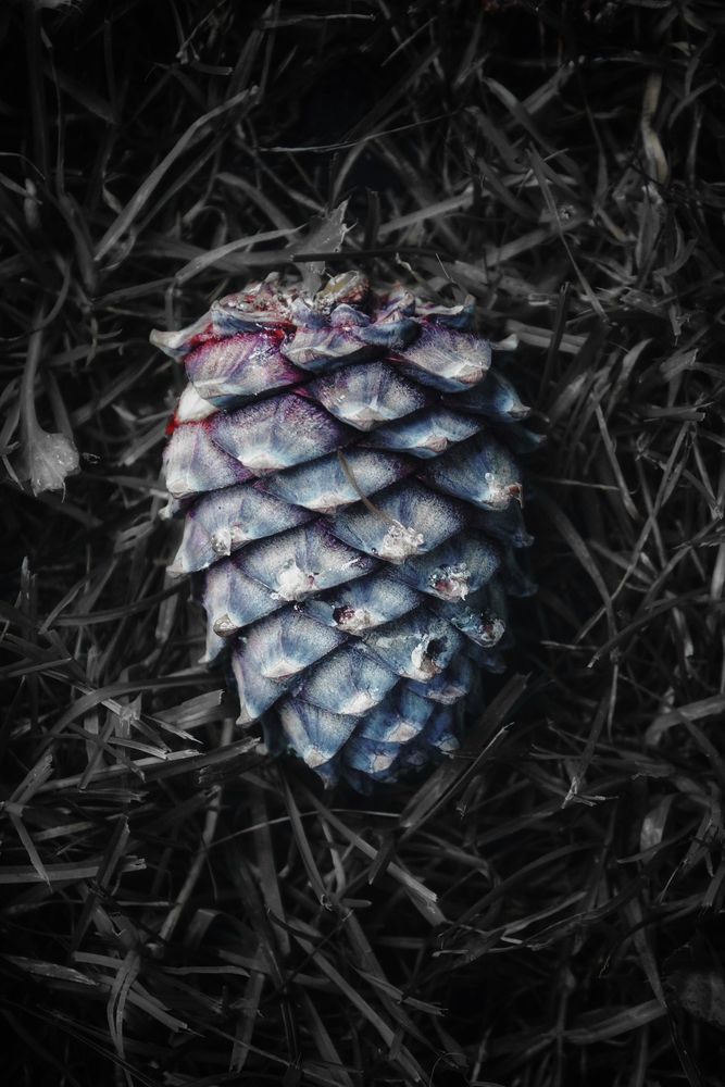 Photograph by Дарья Чертенкова