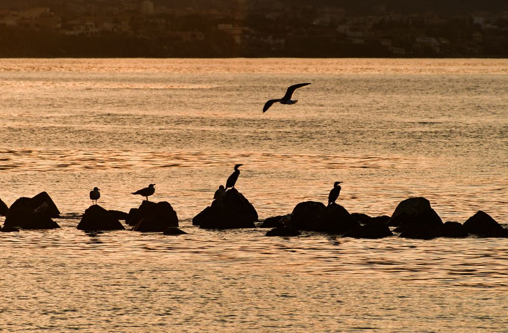 Photograph by Teresa Molinaro