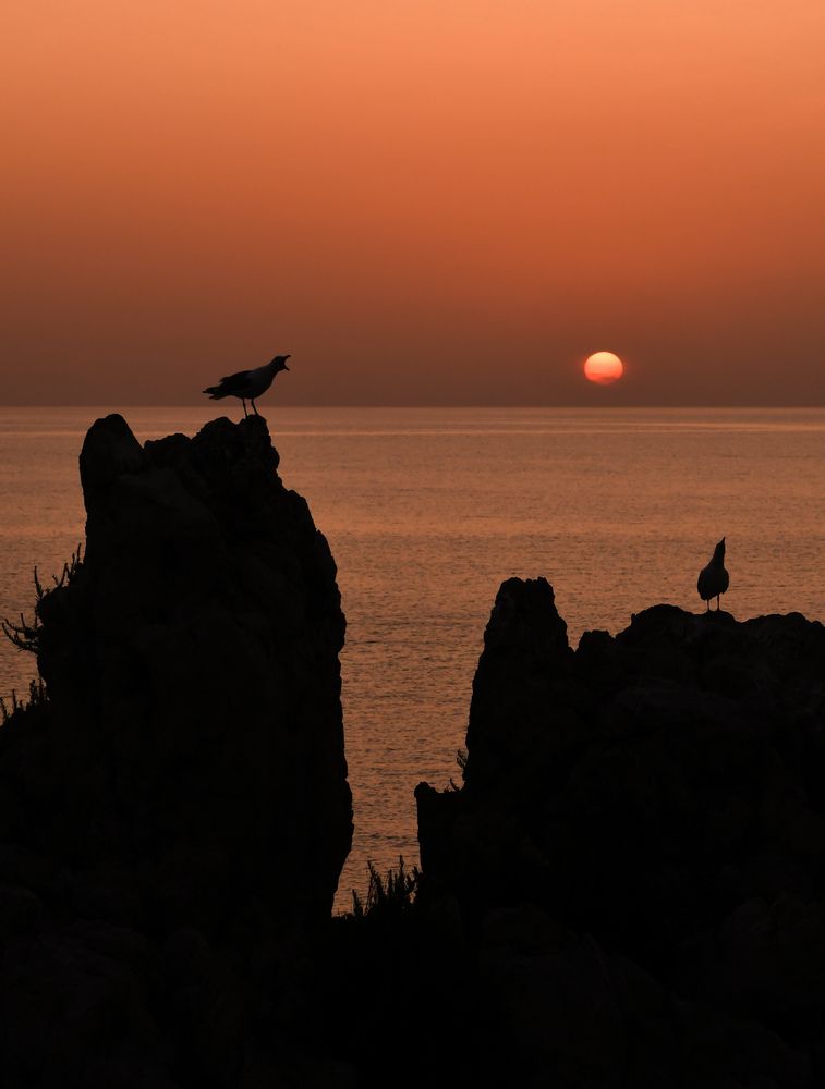 Photograph by Teresa Molinaro