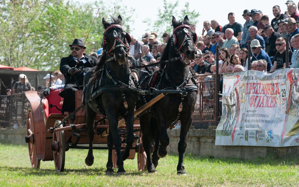 Photograph by Dragan Leles