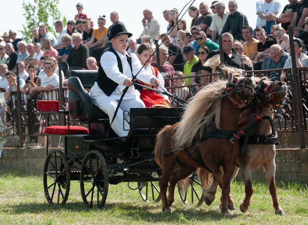 Photograph by Dragan Leles