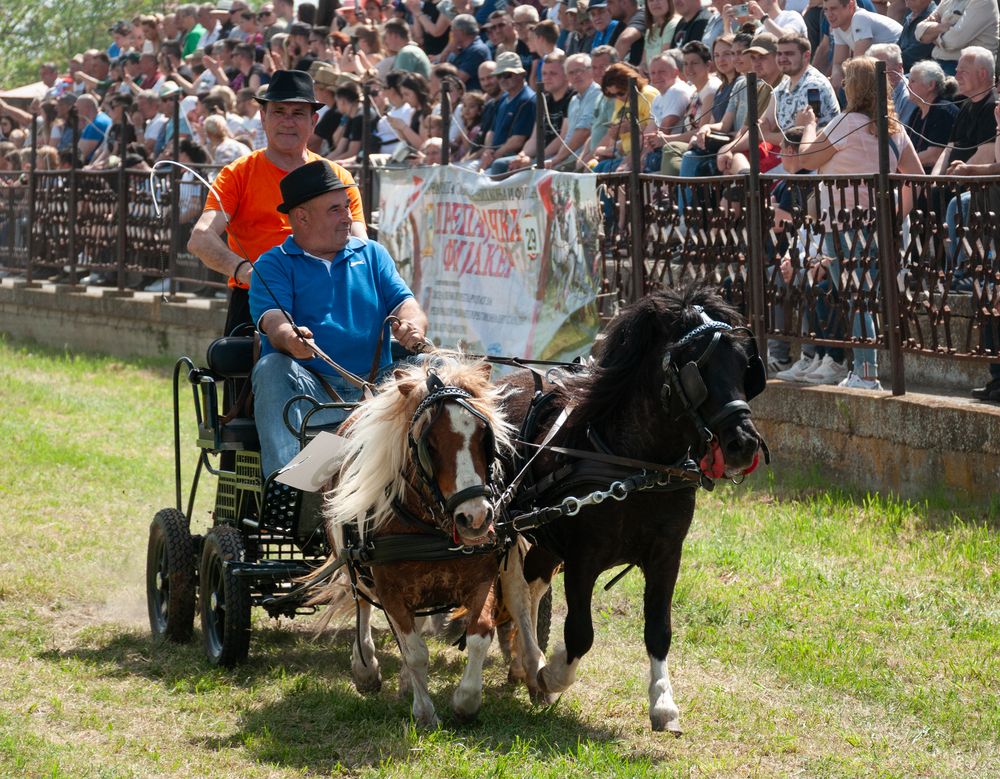 Photograph by Dragan Leles