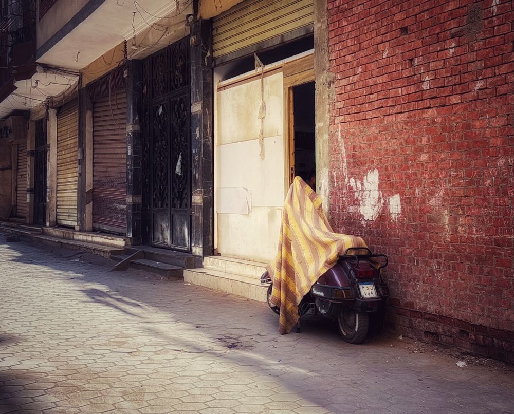 Photograph by Moamen Khaled