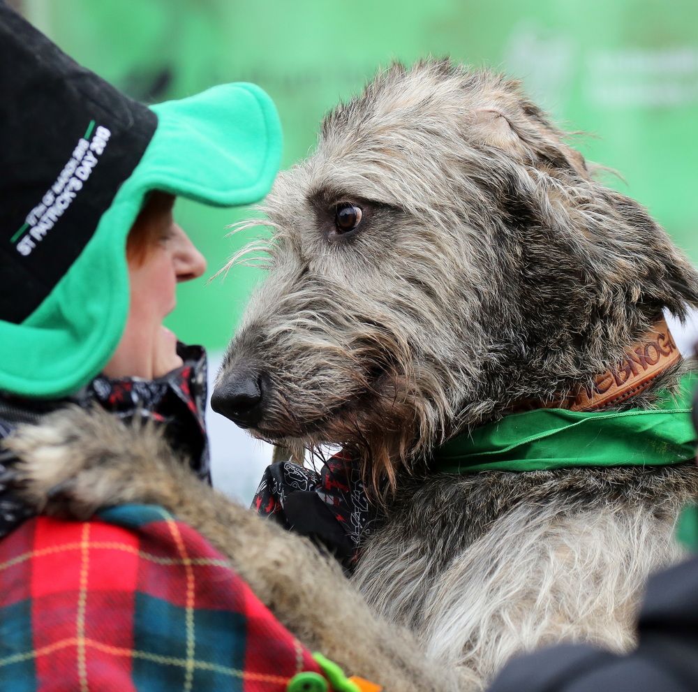 Photograph by Бибичков Михаил