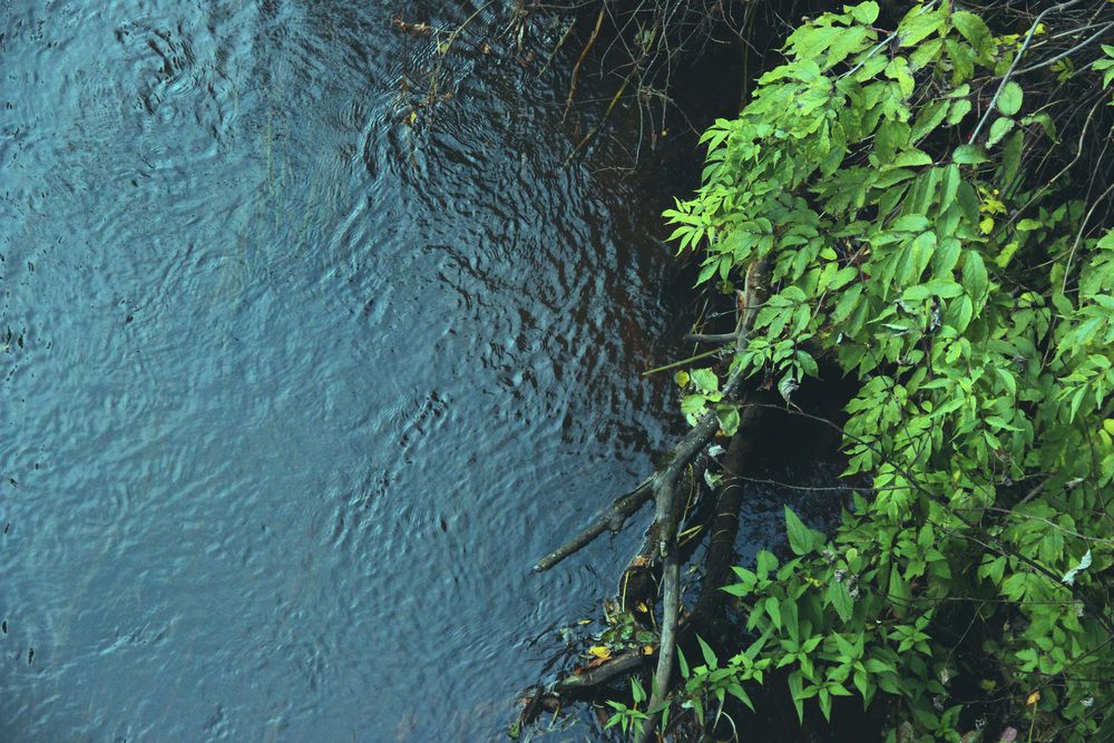 Photograph by Полина Овчинникова