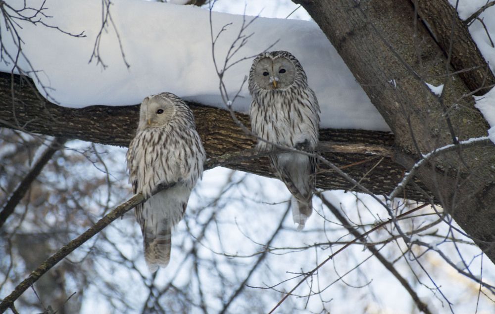 Photograph by Аlessandro