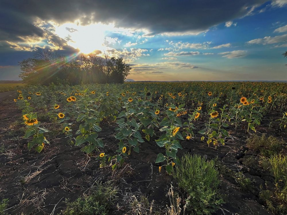 Photograph by Анатолий Протасов