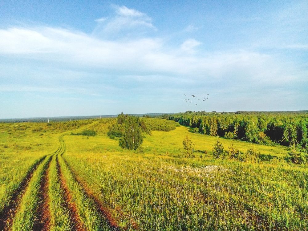 Photograph by Мисютин Геннадий(Гешан)